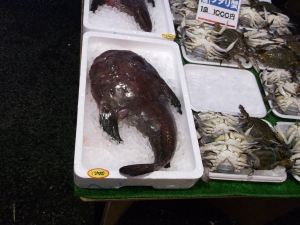 2014022307.jpg