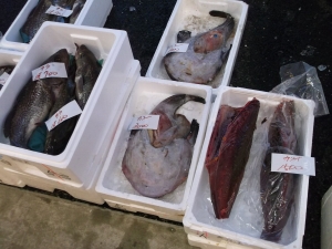 2014022308.jpg