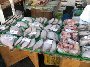2014022310.jpg