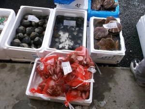 2014022313.jpg