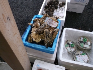 2014022314.jpg