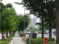 1362yamate.jpg