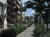 yamatedouri 008