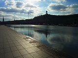RIMG0831.jpg