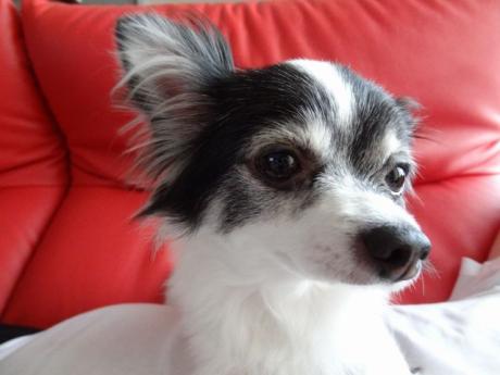 20111012-4.jpg