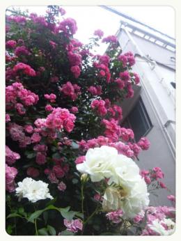 2013-05-19-20-36-24_deco.jpg