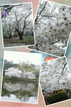 20130330195221403.png