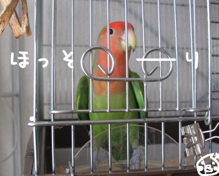 11091204.jpg