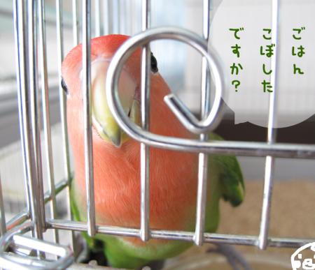 11091205.jpg