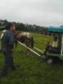 2011-07-18_10-53 畜産祭り 花馬車