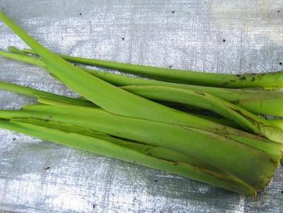 syukaku04.jpg