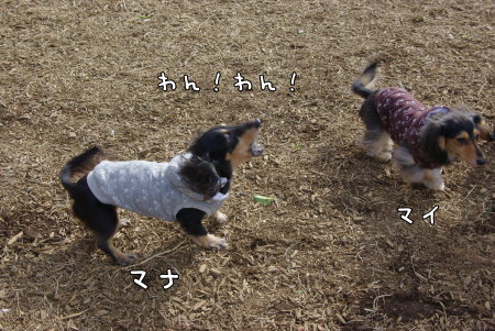 13020901.jpg