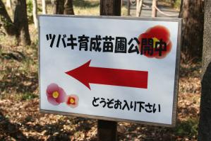 看板