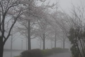 霧