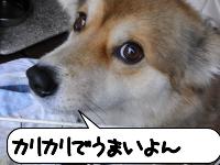 20111018_193536.jpg