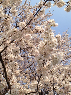 003_20120406180738.jpg