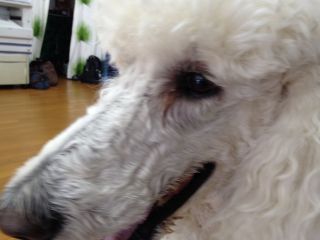 011_320_20120417070325.jpg