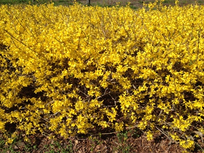 016_20120404105257.jpg