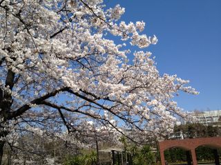 031_320_20120409063518.jpg