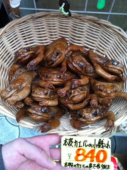 0_convert_20130125023020.jpg
