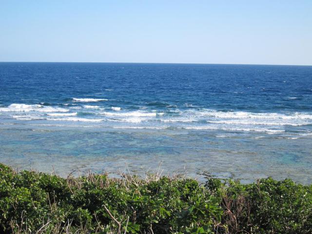 13_convert_20130125024113.jpg