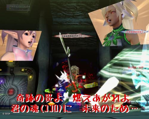 kiseki01.jpg