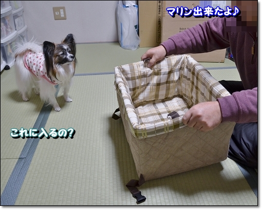 13drbox.jpg