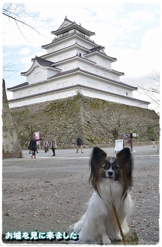 14aizu.jpg