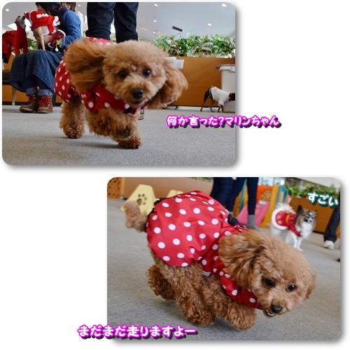 16paryu_2013122323265057c.jpg