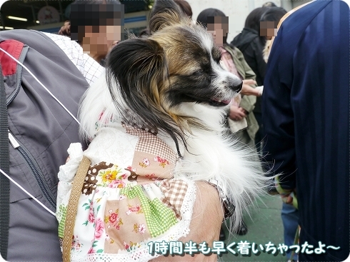 18seibu_20111009222729.jpg