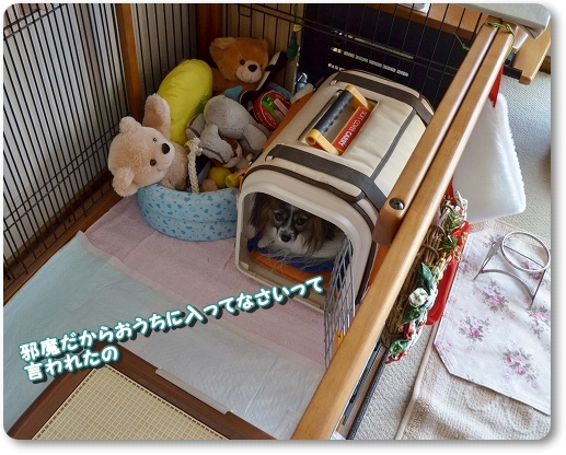 1kusuri_201312162023353c2.jpg