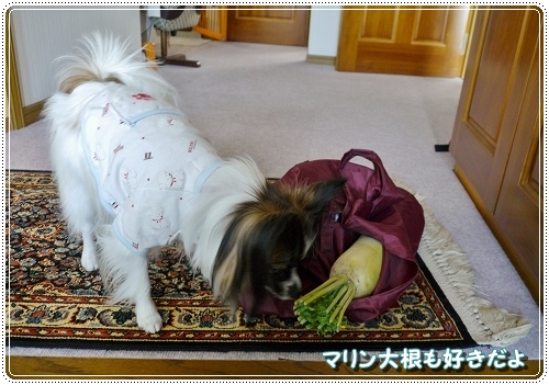 1otukai.jpg