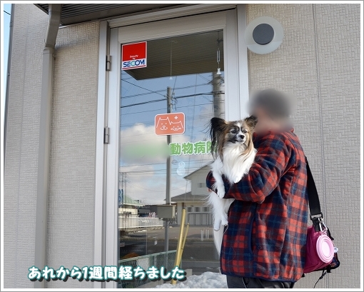 1バディ