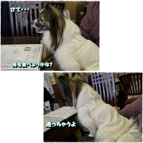 20aizu.jpg
