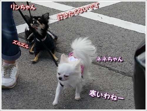 2dake_20111003201710.jpg