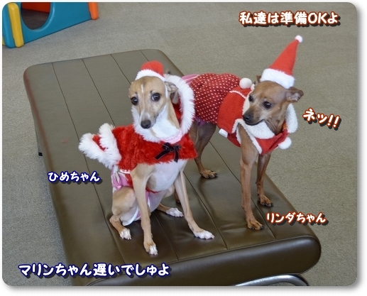 2party_20131223232501642.jpg