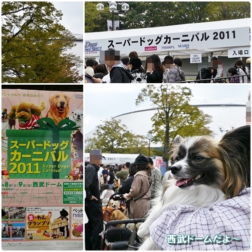 2seibu_20111009222729.jpg