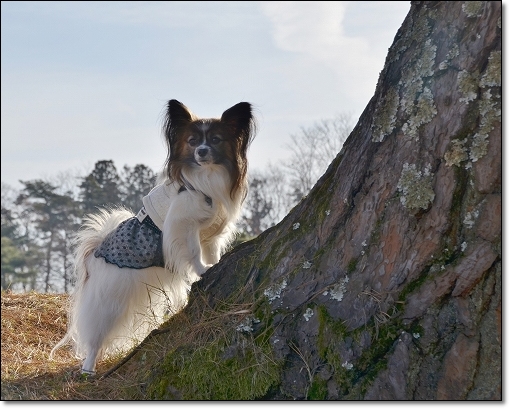 3gorou_201312101511296d1.jpg