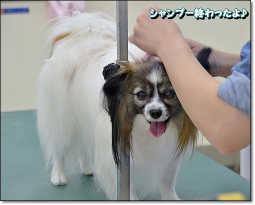 4irumi_20131130223408700.jpg