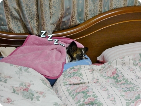 5fuku_20111116223356.jpg