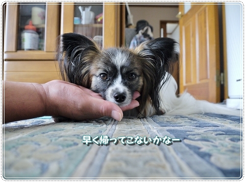 6kumori919.jpg