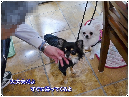 7fuuraku_20111004171401.jpg