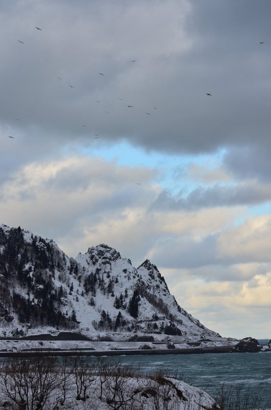 1-DSC_0261.jpg