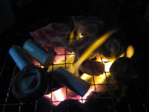 IMG_0478.jpg