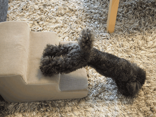 2GIS-P5160308.gif