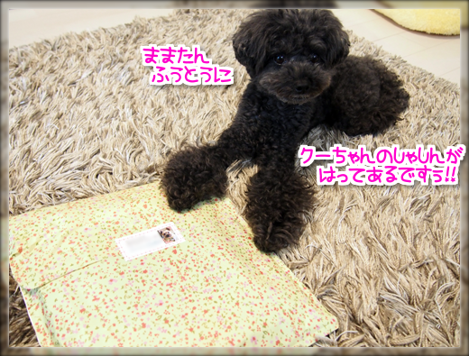 2P9190342.png