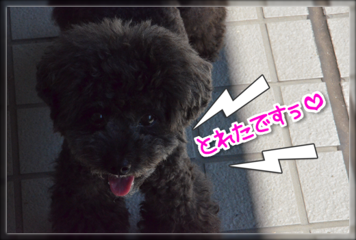 3DSC_0890.png