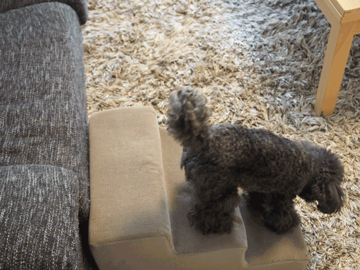 3GIF-P5160307.gif