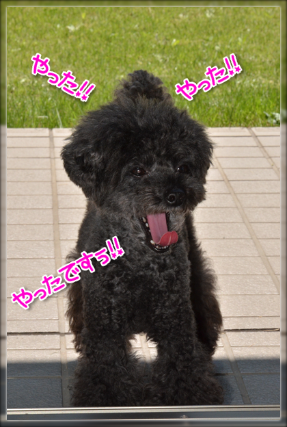 5DSC_0868.png