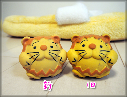 6P9300678.png